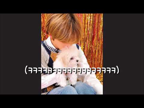 [NCT/지성] 제노 반지 발로 밟은 사건