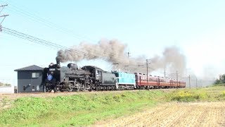 2019/11/2 秩父鉄道　SLパレオエクスプレス　蒸電運転