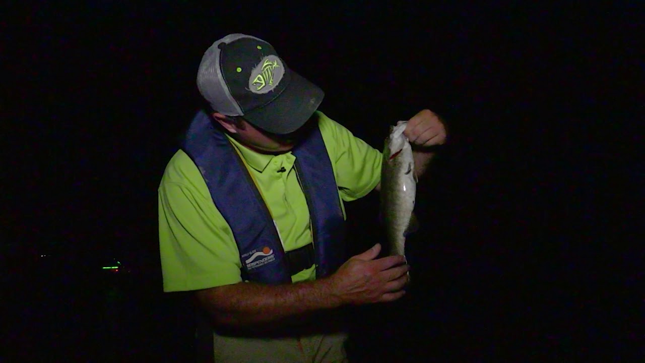Summertime Night Fishing on Dale Hollow Lake - YouTube