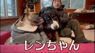 レンちゃんの今後について