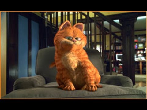 猫 Cat 映画 猫好きが見たい猫が出て来る映画 Youtube