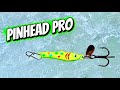 Clam Pinhead Pro! (Multispecies in -20F!) 