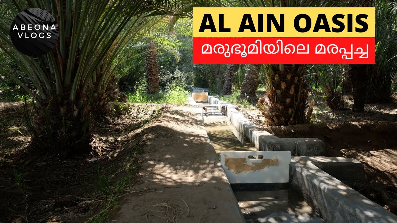 AL AIN OASIS.  UNESCO WORLD HERITAGE SITE IN UAE. MALAYALAM VLOG.