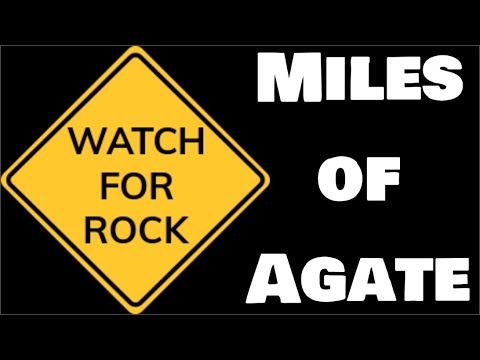 Oregon Rocks!: Rockhounding Oregon| The McDermitt Adventure w/ Miles Of Agate and Petrified Trees