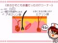 解剖生理学　３話「皮膚」