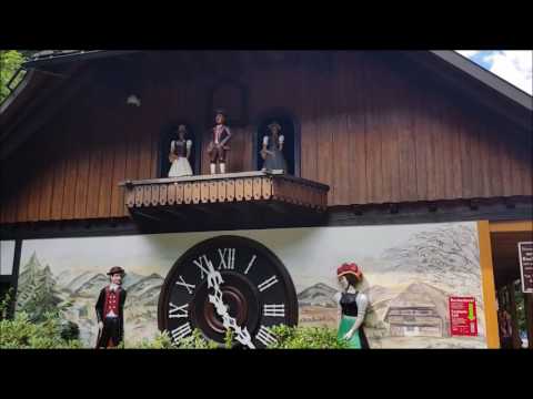 download the largest cuckoo clock in the world download the largest cuckoo clock in the world
