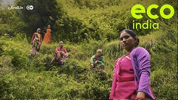 Eco India: Meet the barefoot hydro-geologists bringing dying Himalayan springs back to life