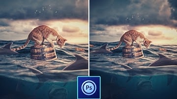 PS Touch Tutorial - Puss In Soup Photo Manipulation in ps touch/android