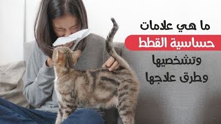 حساسية القطط اعراضها واسبابها وطرق الوقاية منها