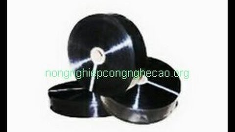 Mô hình tưới nhỏ giọt cho cây Chuối  - Nông Nghiệp Công Nghệ Cao