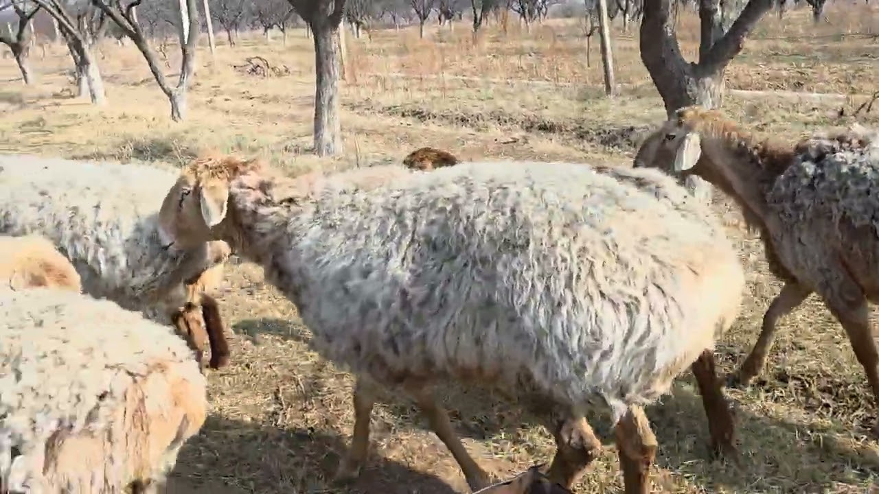 3 марта 2026 г.