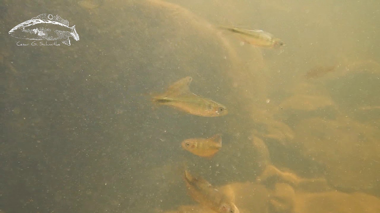 Parque Provincial Salto Encantado