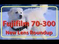 Fujifilm XF 70-300 new lens roundup 2021 (in 4K)