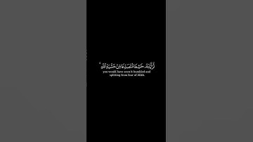 لو أنزلنا هذا القرآن على جبل || قرآن شاشة سوداء بصوت#أحمد_العجمي#سورة_الحشر#قرآن#رمضان #ramadan