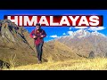 ALONE in the Himalayas of Himachal Pradesh, India