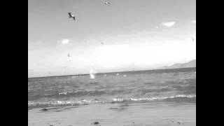 Playa Hermosa Liberia Guanacaste Costa Rica