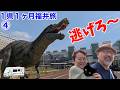 キャンピングカー1県1ヶ月旅⑤〜恐竜天国！福井駅前で十分楽しめる！絶叫の鉾島神社！大人気ラーメン店「まほろば」などなど