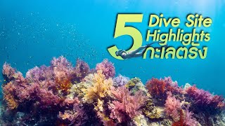 5 Dive site Highlight ทะเลตรัง