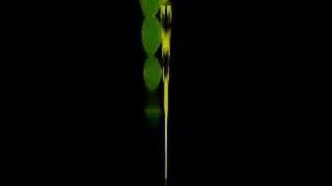 L-System Tree