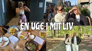 VLOG: En mega hyggelig og sjov uge i mit liv! image