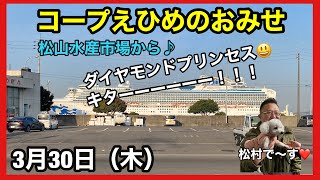 松山市 新居浜市 今治市 スーパー おすすめ 野菜 魚 肉 惣菜 新鮮 安い 品揃えがいい　#旬の魚 #サワラ　#ブリ　#牡蠣　#サヨリ　#真鯛　#生わかめ　#ホタテ貝　#アメゴ　#アマギ