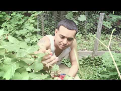 Tufawon - Sagepatch Kid