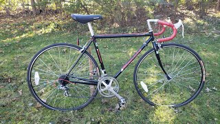 1986 bianchi premio road bike Vintage 80's 19