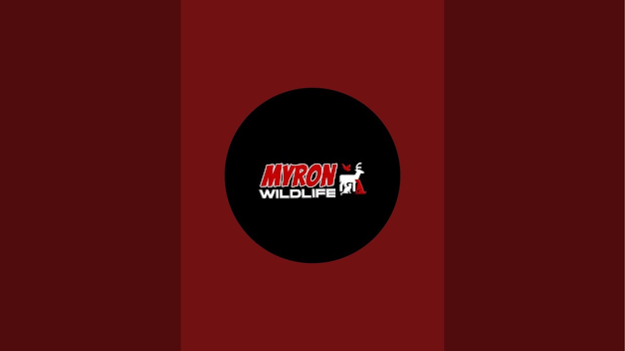 MyronWildLife is live!