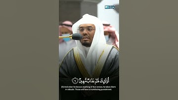 تلاوة مؤثرة للشيخ ياسر الدوسري من سورة الجاثية " ويل لكل أفاك أثيم "