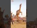 khatiya par dance #song #rajasthani #jaisalmer #subscribe #viralshorts #india #youtube