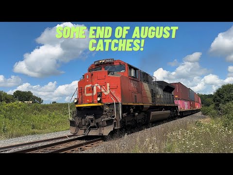 (EMD Leaders, Go 254, 245, 562, CN 3008, And More) Railfanning On The Bala/Newmarket Subdivisions
