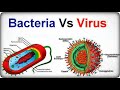 Bacteria vs Virus | Hindi | Priyank Singhvi
