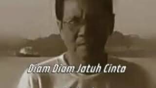 D'lloyd - Diam Diam Jatuh Cinta