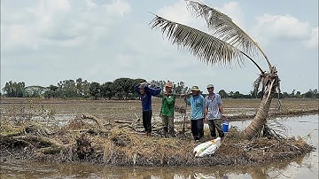 Bác Cháu Ra Gò Đất Giữa Ruộng Săn Bắt Trúng Mánh Chuột Đồng. Góc Làng Quê #1464