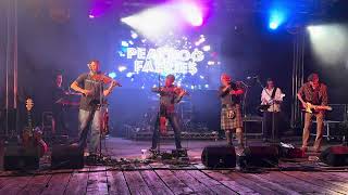 Peatbog Faeries, Beardy Folk Festival, 20062026
