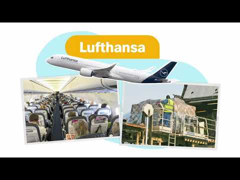 Why Lufthansa is more than you think | logo! simply explained