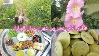 روتين يوم /١٤/  من شهر رمضان المبارك /طريقة عمل الكبة ناجحة/