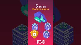 E-Factura Pentru Pf Și Pj. Simplu Automat Cu Fgo