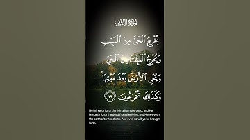 سورة الروم يخرج الحي من الميت ويخرج الميت من الحي ويحي الأرض بعد موتها وكذلك تخرجون الاية ١٩