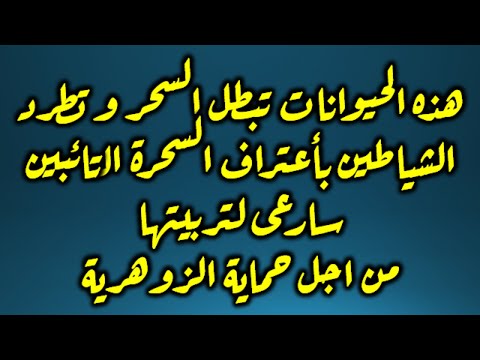 هذه الحيوانات تبطل السحر وتطرد الشياطين باعتراف السحرة التائبين سارعى لتربيتها من اجل حماية الزوهرية