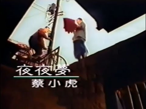 蔡小虎-夜夜夢