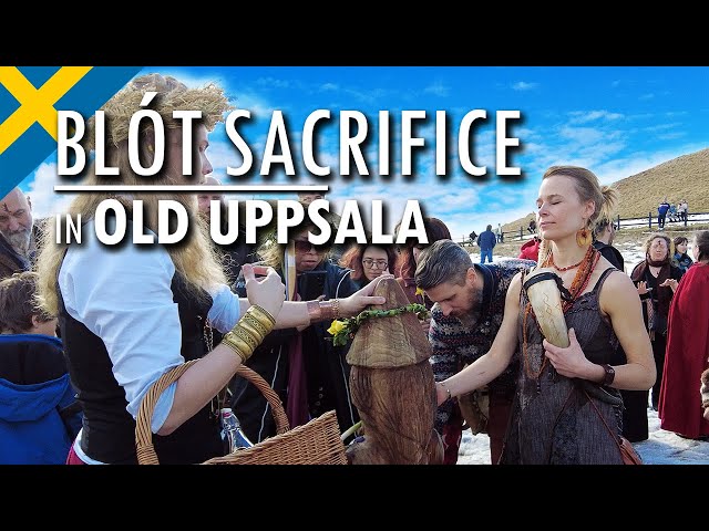 Spring Blot Sacrifice | Norse Paganism in Sweden class=