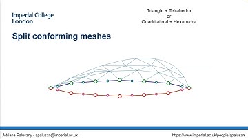 Adriana Paluszny - InterPore2023 Invited Lecture: Finite element modelling of the growth and flow