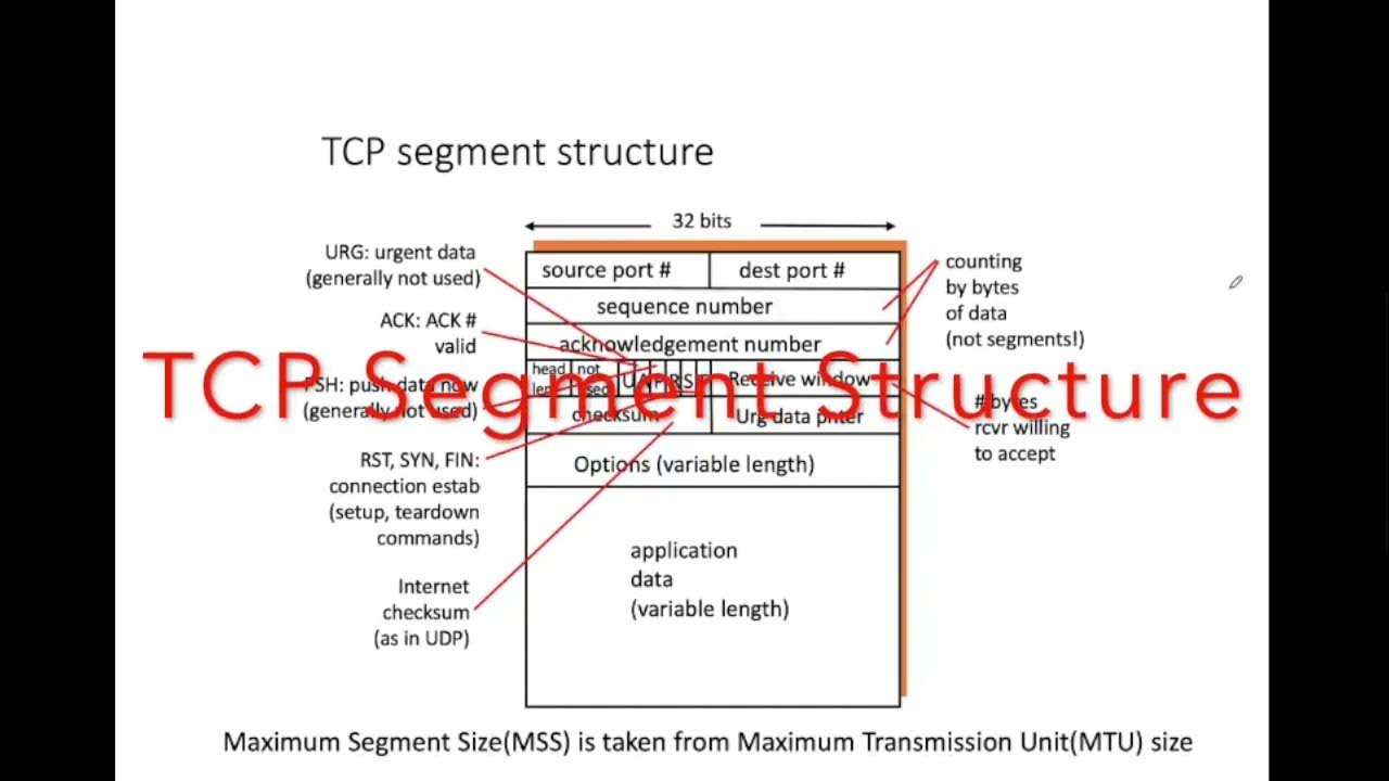 Tcp Segment Structure