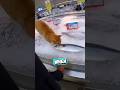 This Cat Tried To Steal A Fish Animandopinterest TT