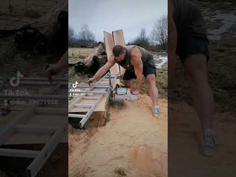распиловка ясеня на