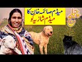 Bully Kutta Lover Madam Saima Khan | Waching The Beautiful Bully Dogs | Beautiful BLACK Cat 🐈‍⬛