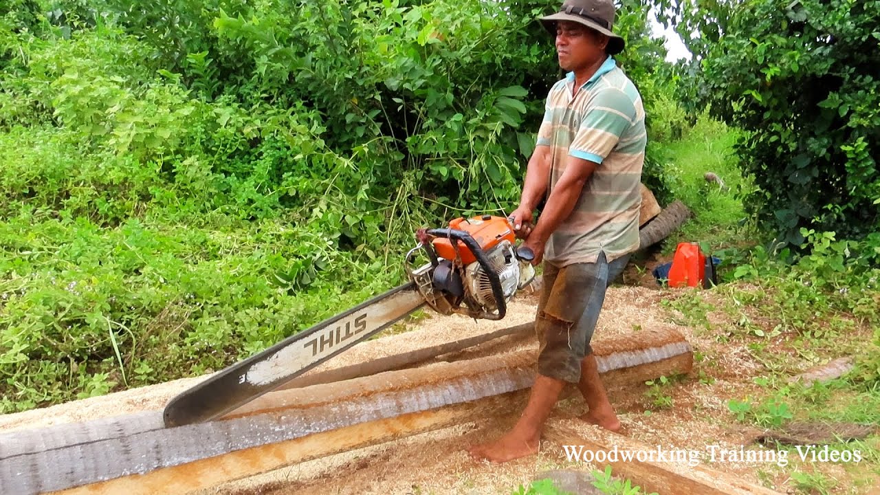 Strong Chainsaw Man Cutting Dead Palm Tree With His Powerful! Best Tree ...