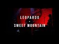 Leopardo  sweet mountain  happiness live at supersonic