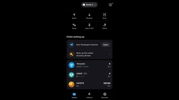 Onchain airdrop wallet Hamster Kombat Withdrawal (UPDATE)